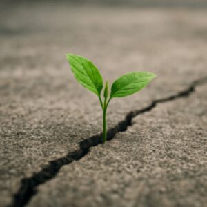 Why Do We Feel Sad? And How Did the Prophet ﷺ Endure the Toughest Trials?